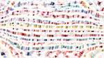 First of 'reflets &mdash; paint action sequence &mdash; movie proc use layers'.