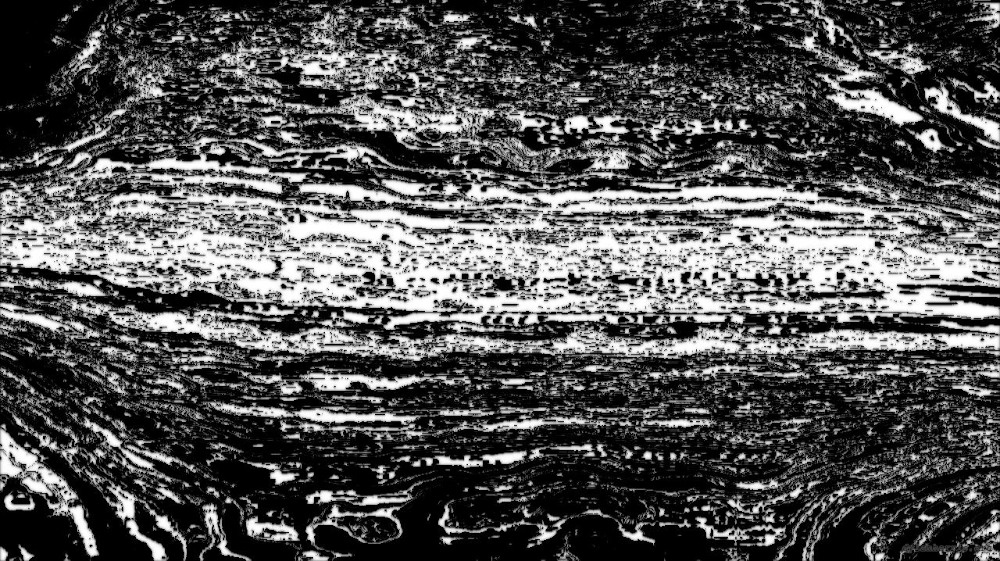 image: an image