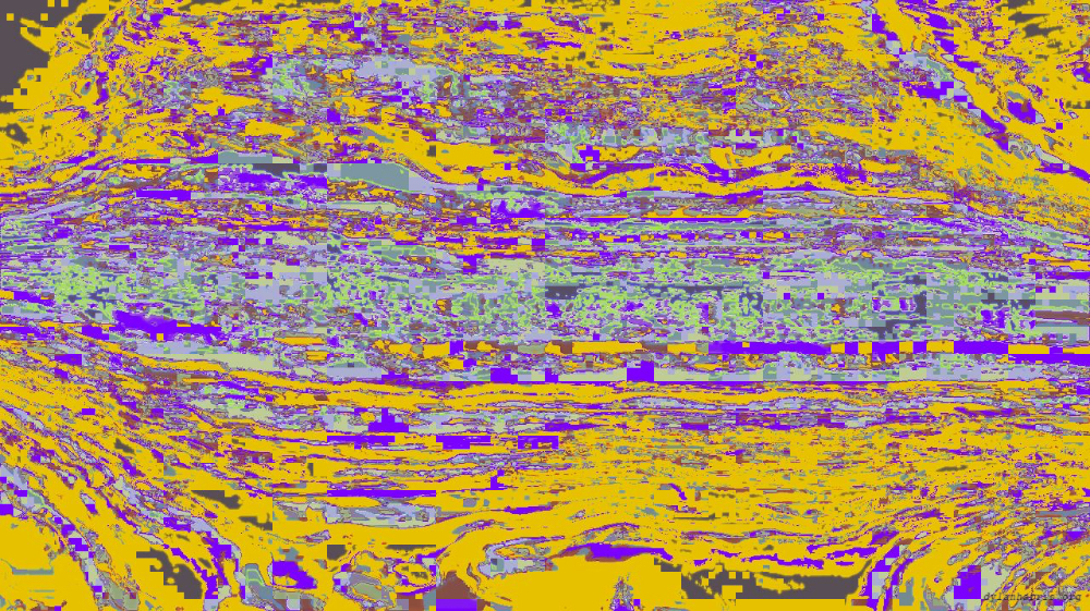 image: an image