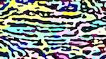 Second of 'zz msg presets msg 3 6'.