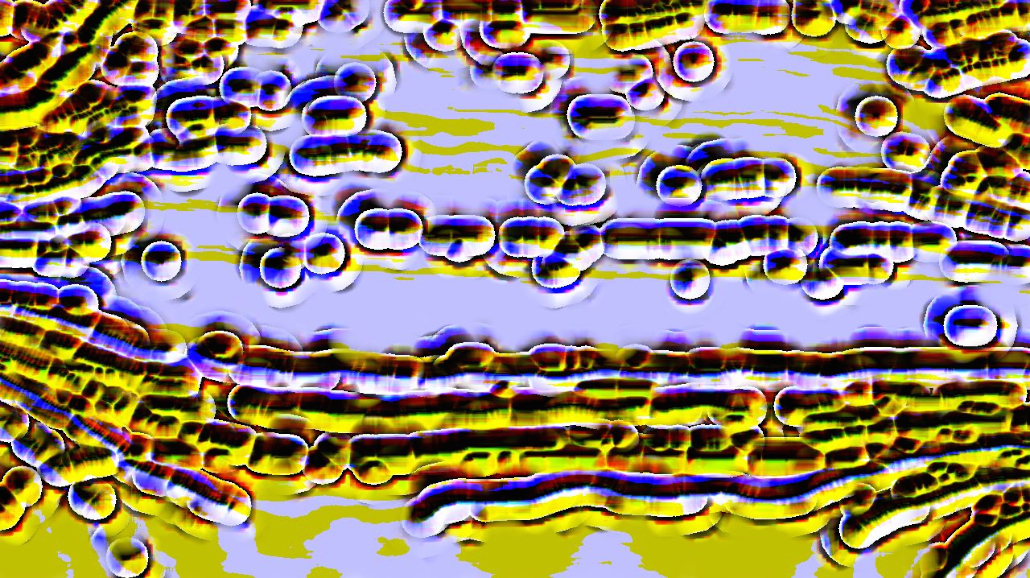 image: an image