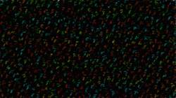 image: an image