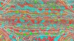 image: an image