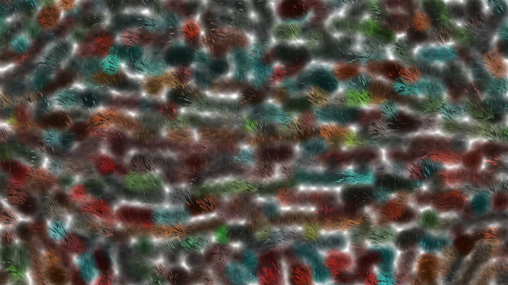 image: an image