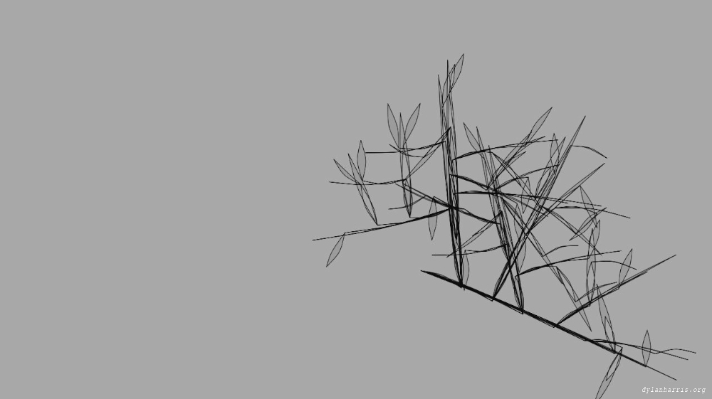 Image 'reflets &mdash; msg &mdash; variations 1 msg to test 2 3'.