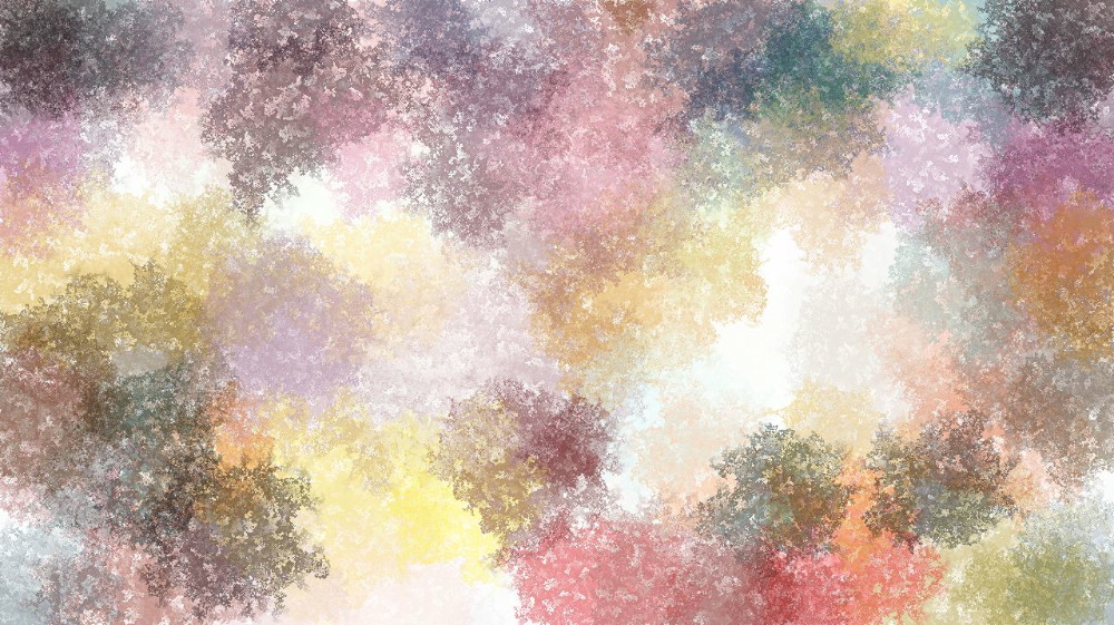 image: an image