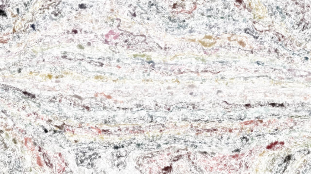 image: an image
