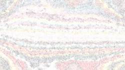image: an image
