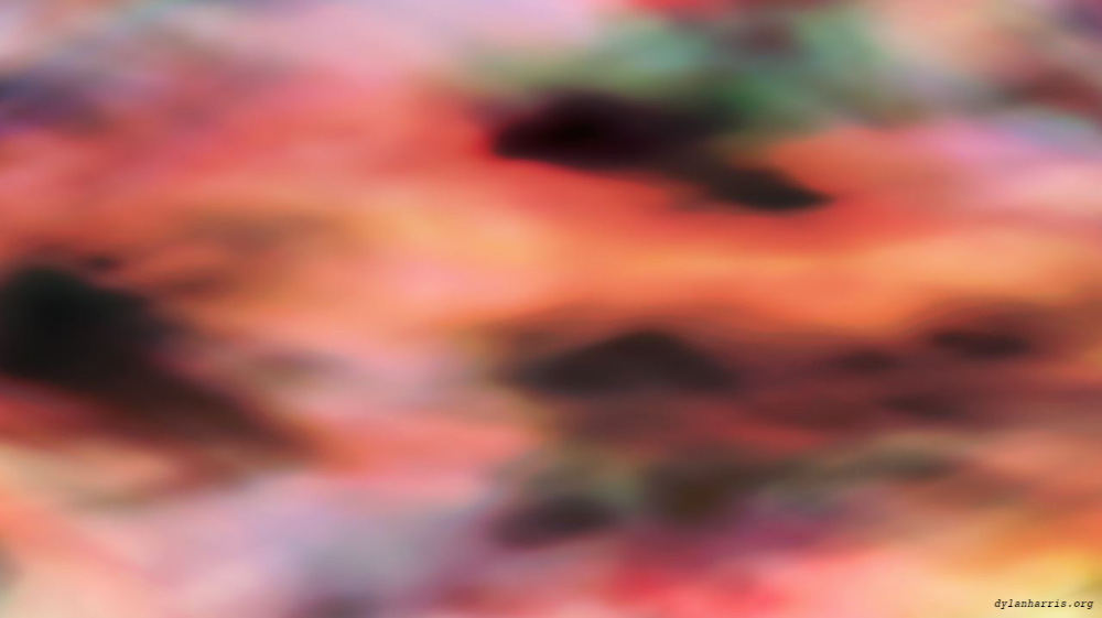image: an image