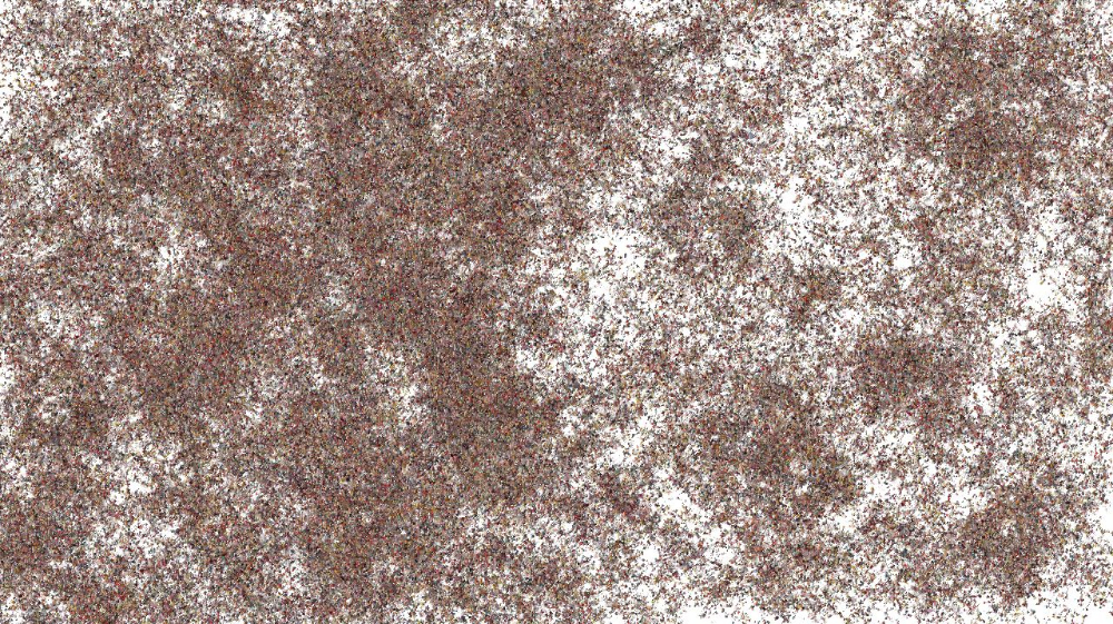 image: an image