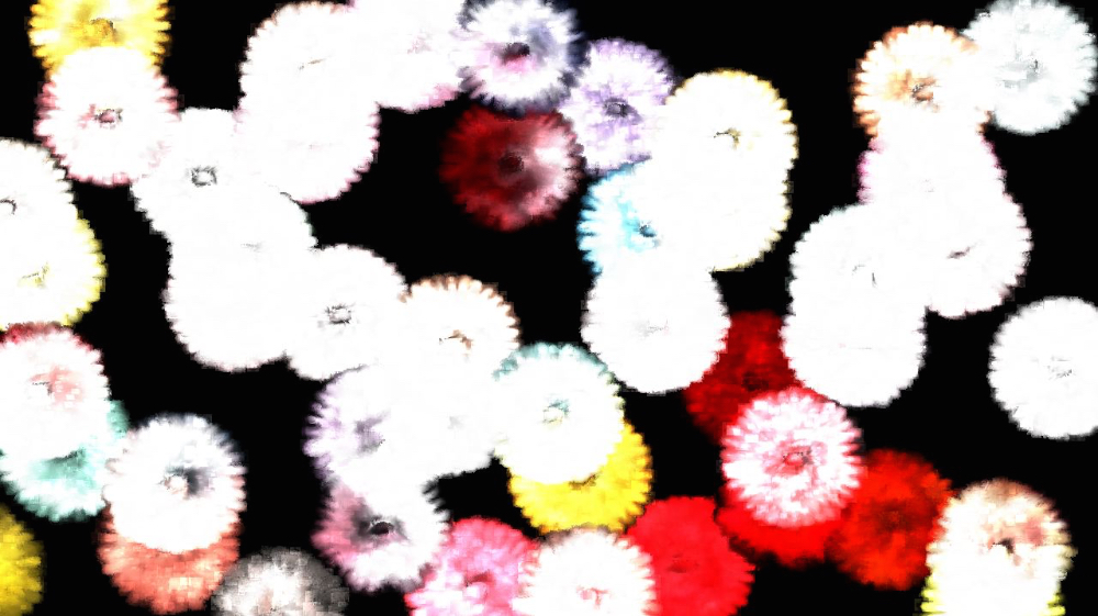 image: an image