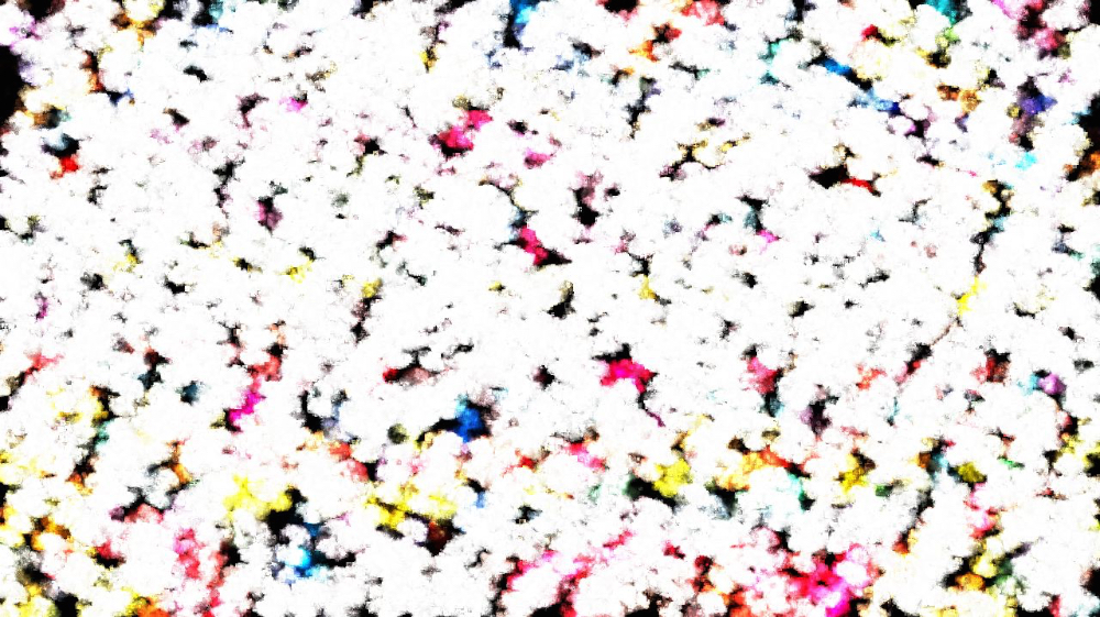 image: an image