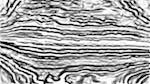 image: an image