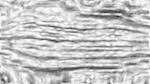 image: an image