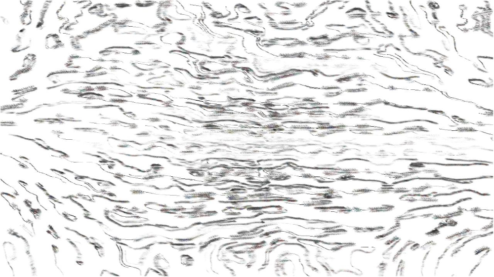 image: an image