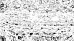 Second of 'reflets &mdash; paint synthesiser classic &mdash; 3.0 collection natural media 1'.