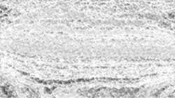 Fifth of 'reflets &mdash; paint synthesiser classic &mdash; 3.0 collection natural media 1'.