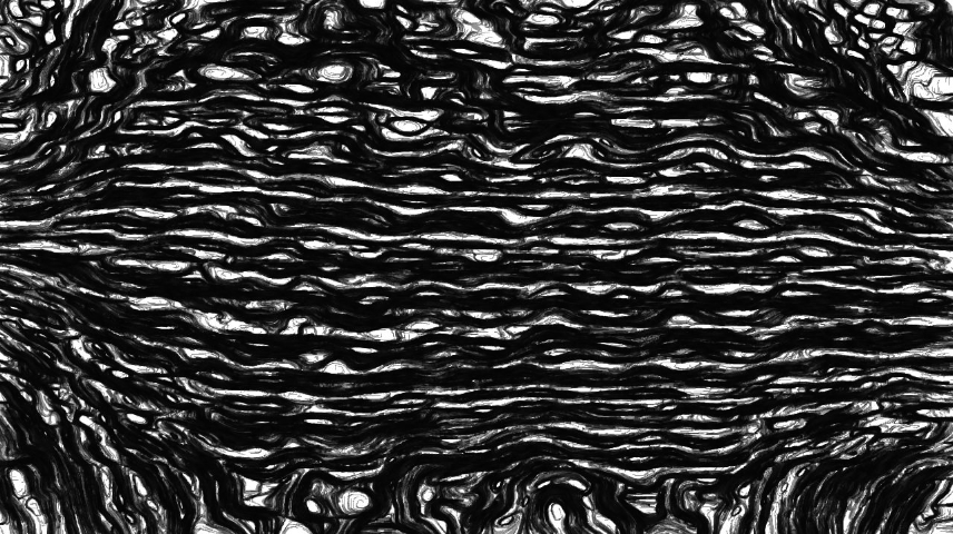 Image '4.0 B collection new 2 2 6'.