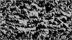 image: an image