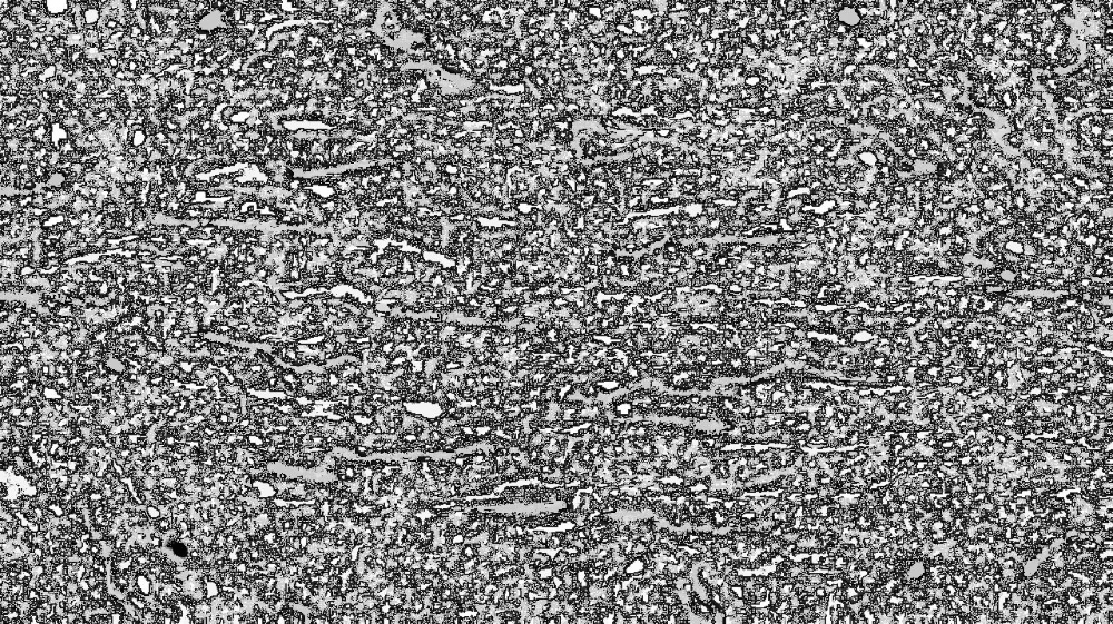 image: an image