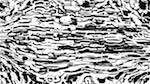 image: an image