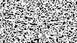 image: an image