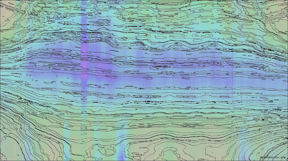 image: an image