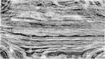 image: an image