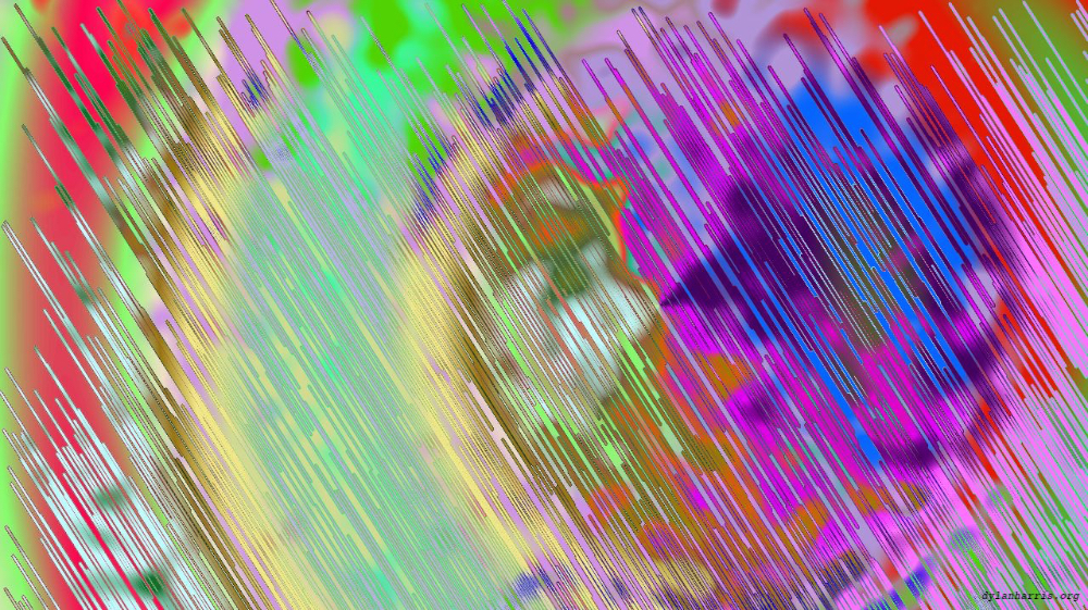 image: an image
