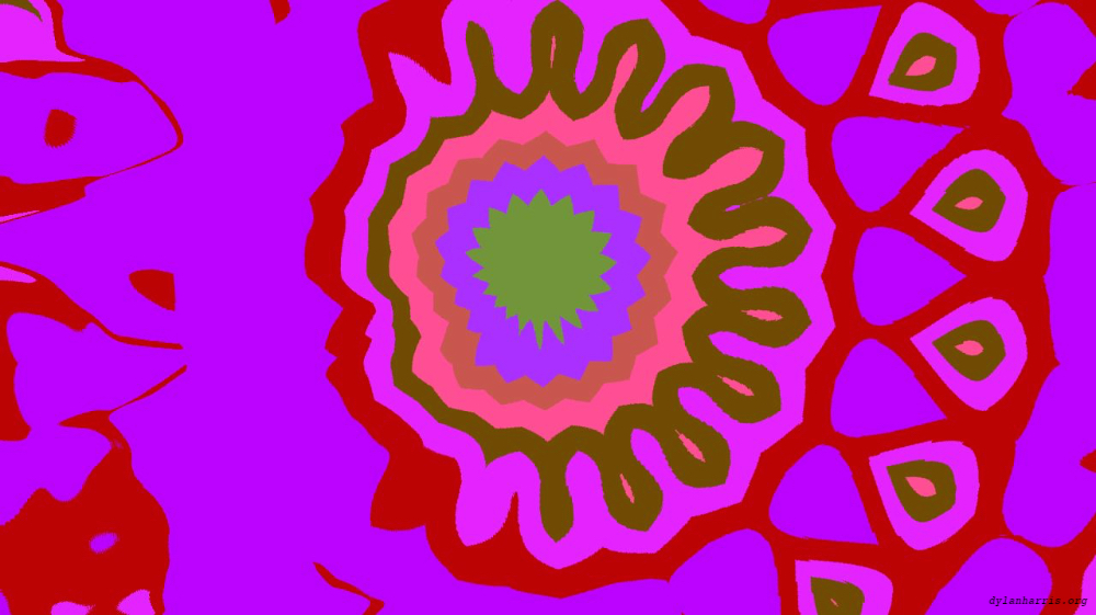 image: an image