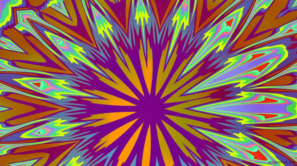 image: an image