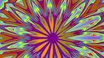 image: an image