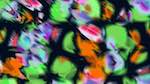 Fifth of 'reflets &mdash; msg &mdash; variations 1 new e 4'.