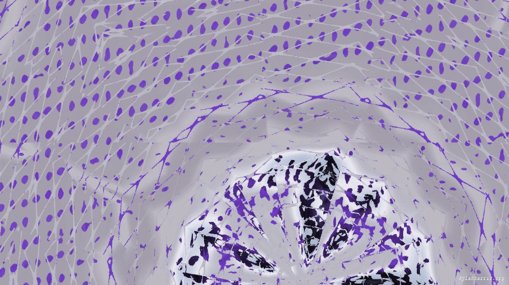 image: an image
