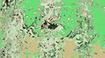 Second of 'reflets &mdash; msg &mdash; variations 1 new f 4'.