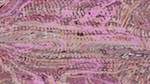 Third of 'reflets &mdash; msg &mdash; variations 1 new f 7'.