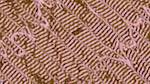 Fifth of 'reflets &mdash; msg &mdash; variations 1 new f 8'.
