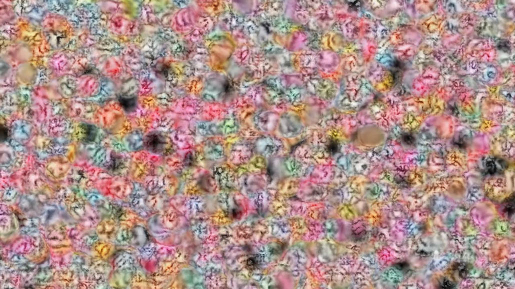image: an image