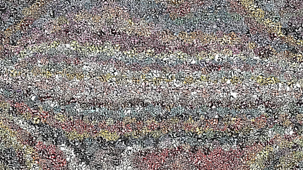 image: an image