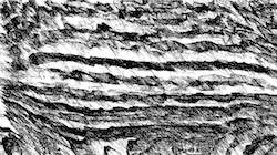 image: an image