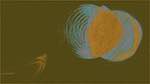 First of 'reflets &mdash; msg &mdash; variations 2 new 10 3'.