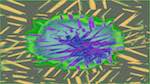 Second of 'reflets &mdash; msg &mdash; variations 2 new 10 4'.