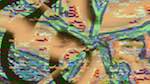 Third of 'reflets &mdash; msg &mdash; variations 2 new 12 5'.