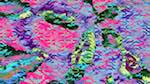 Sixth of 'reflets &mdash; msg &mdash; variations 2 new 12 7'.