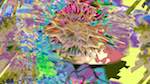 First of 'reflets &mdash; msg &mdash; variations 2 new 16 9'.