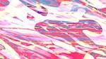 Third of 'reflets &mdash; msg &mdash; variations 2 new 4'.