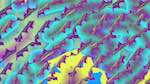 Fifth of 'reflets &mdash; msg &mdash; variations 2 new 6 12'.