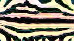 Fifth of 'reflets &mdash; msg &mdash; variations 2 new 6 14'.