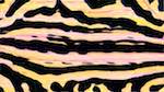 Sixth of 'reflets &mdash; msg &mdash; variations 2 new 6 14'.