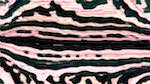 Seventh of 'reflets &mdash; msg &mdash; variations 2 new 6 14'.